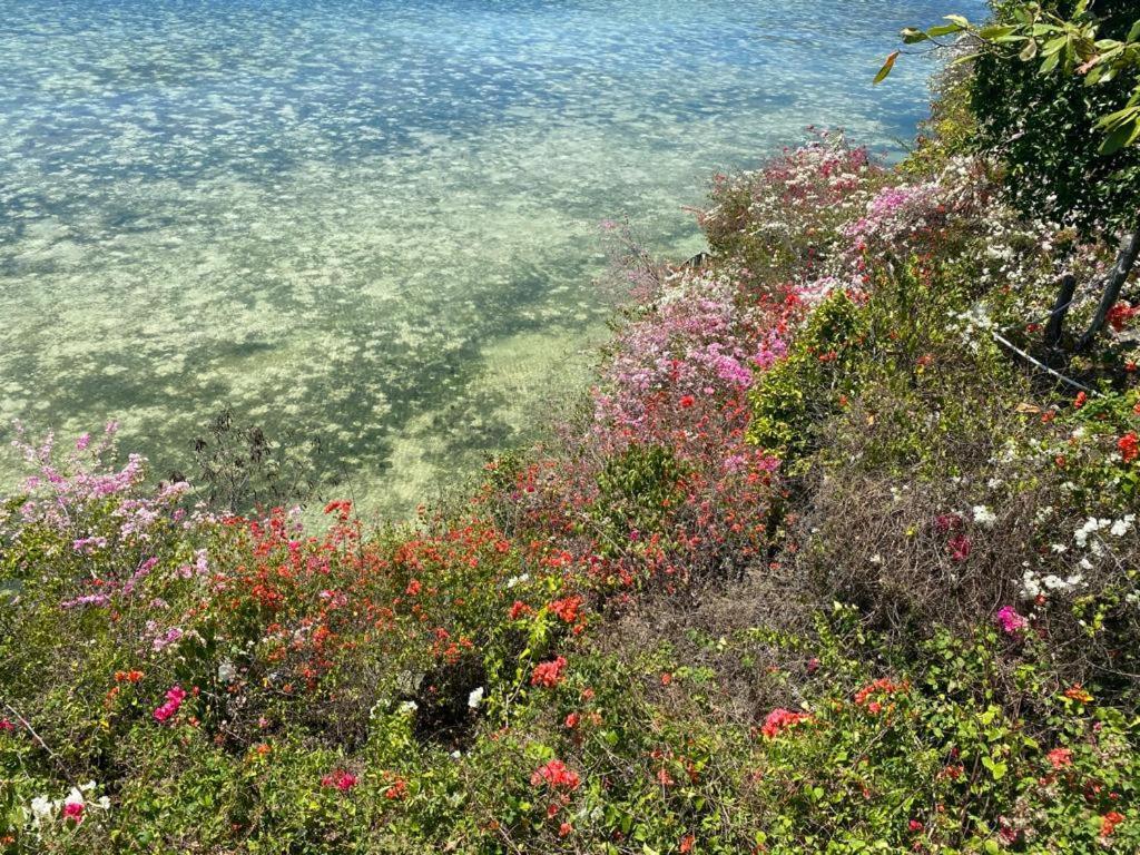 Tahanan Resort San Juan  Eksteriør bilde